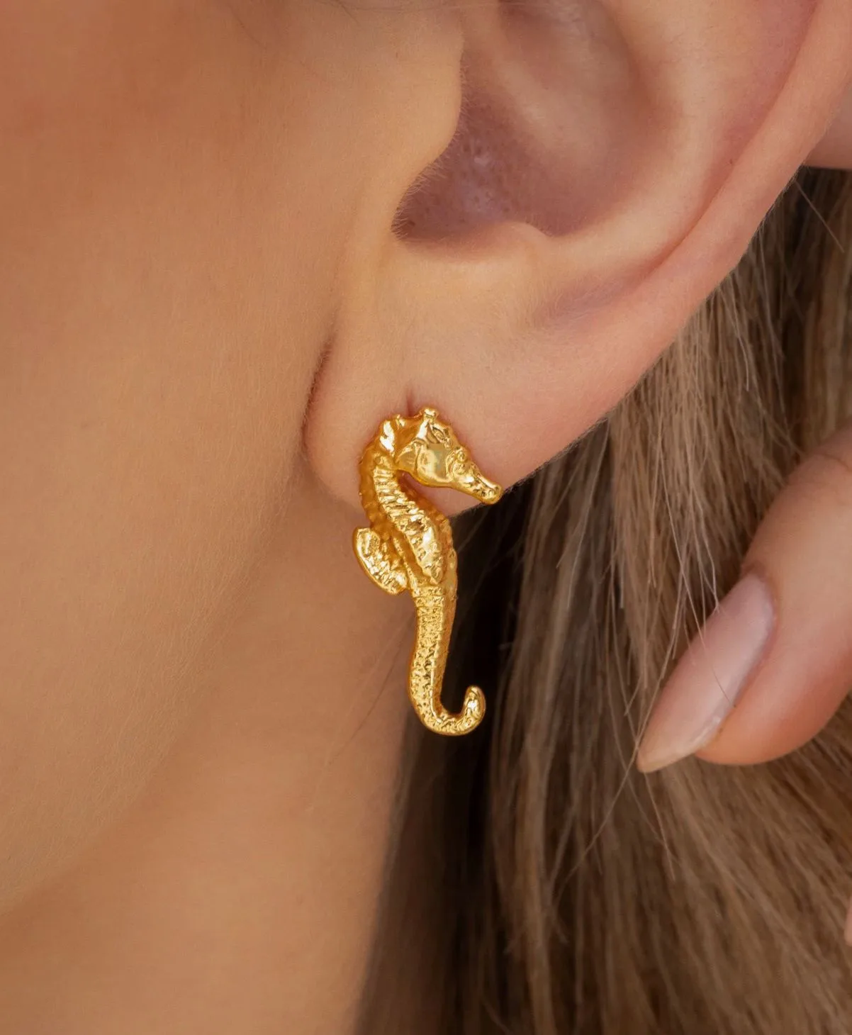 Aretes Caballito de Mar