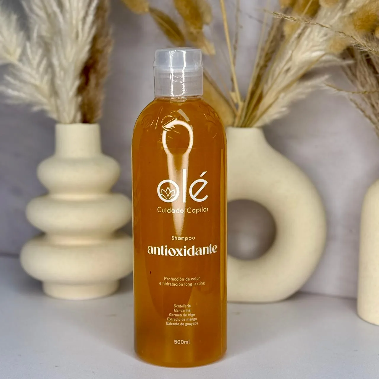 SHAMPOO MIX DE FRUTAS ANTIOXIDANTE OLE